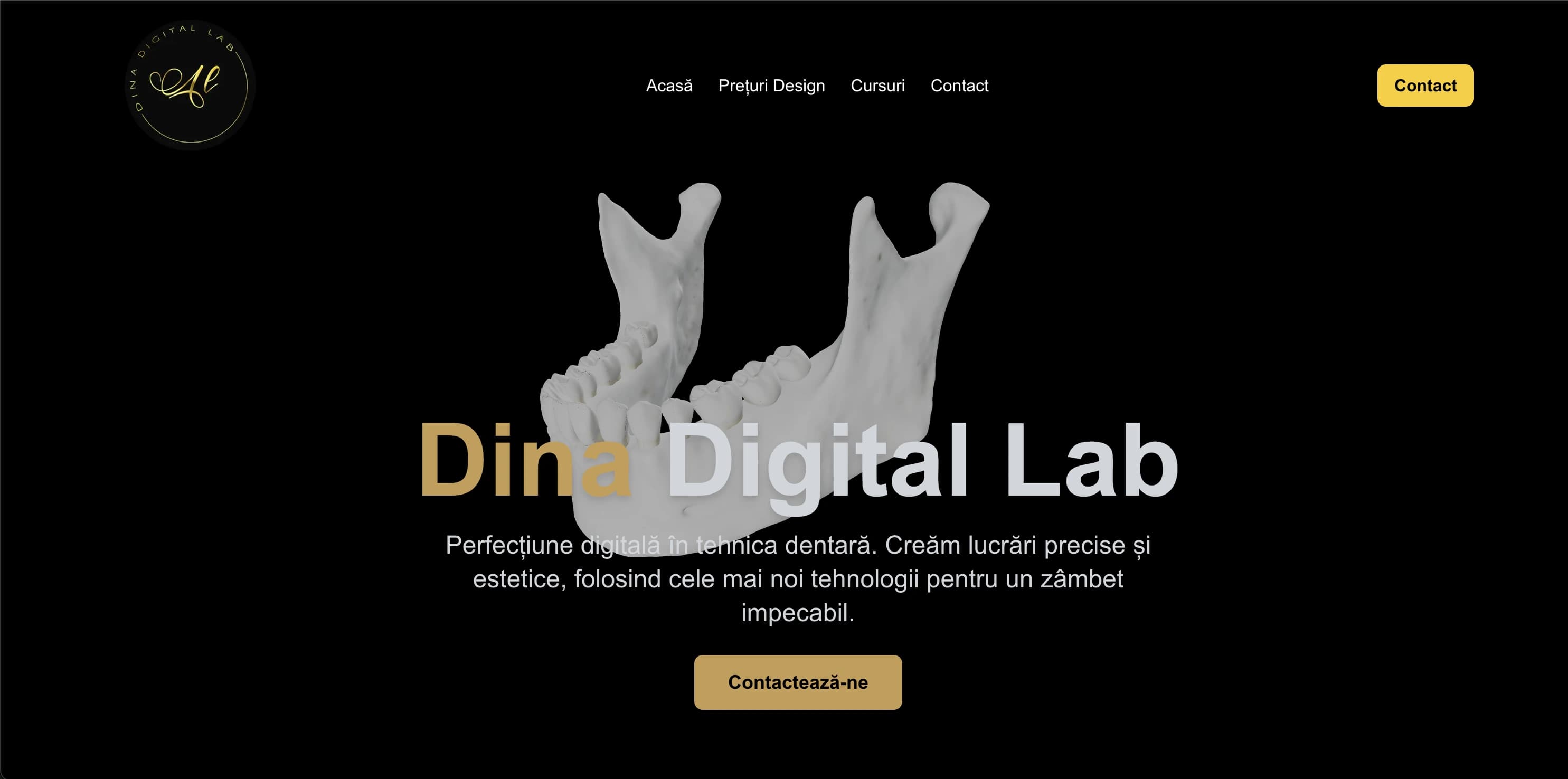 Dina Digital Lab